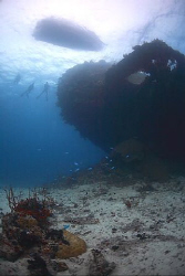 Wreck of the Gosei Maru - Chuuk/Truk Lagoon. by Jim Garland 